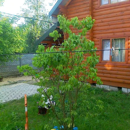 Лісова Хатинка Villa Haivka Exterior photo